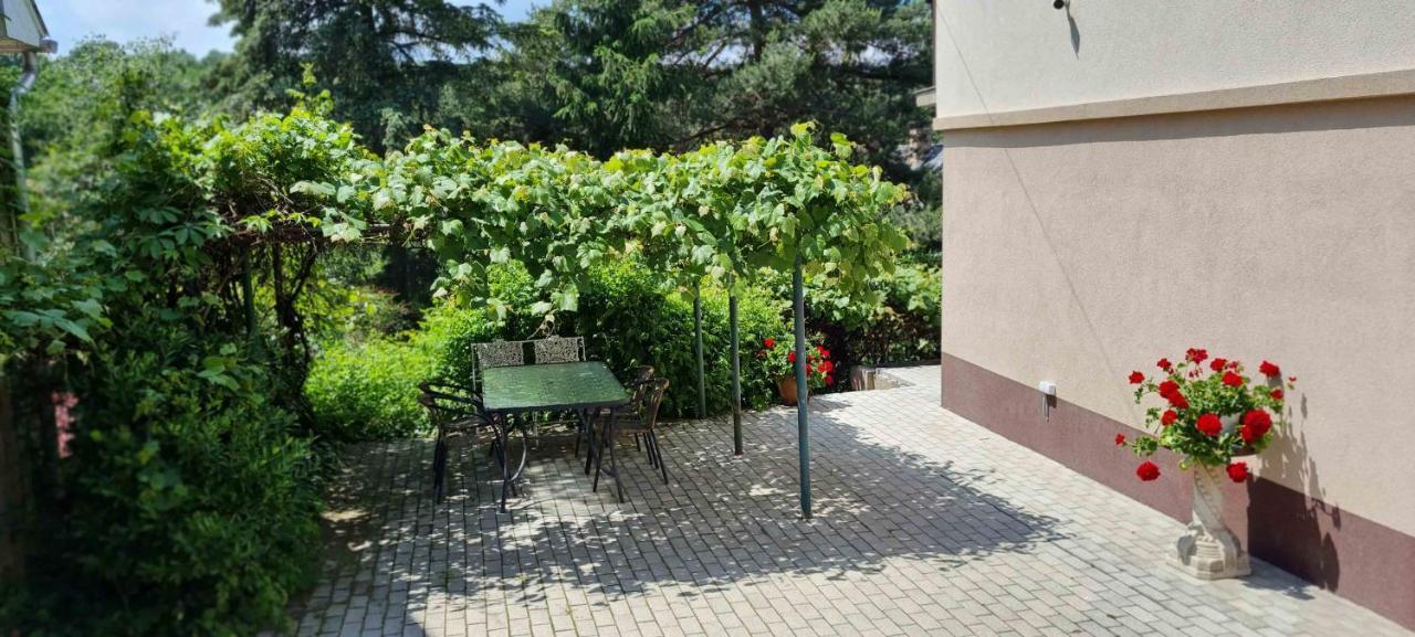 Lugas Apartman Miskolctapolca 2 Haloszoba Dezsa Es Jakuzzi Koezel A Barlangfuerdohoez Εξωτερικό φωτογραφία