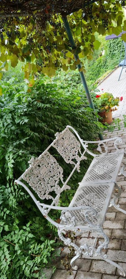 Lugas Apartman Miskolctapolca 2 Haloszoba Dezsa Es Jakuzzi Koezel A Barlangfuerdohoez Εξωτερικό φωτογραφία