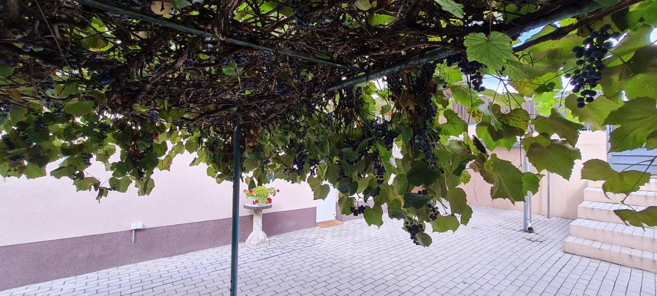 Lugas Apartman Miskolctapolca 2 Haloszoba Dezsa Es Jakuzzi Koezel A Barlangfuerdohoez Εξωτερικό φωτογραφία